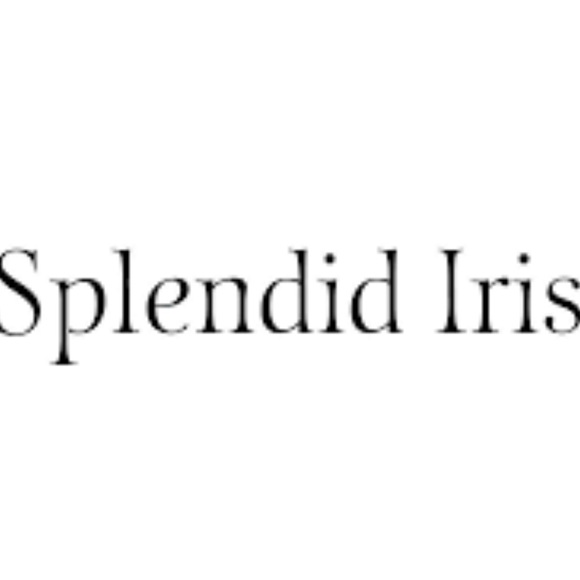 Splendid Snap Envelope Traveling Pouch (3) NWT - Picture 2 of 9